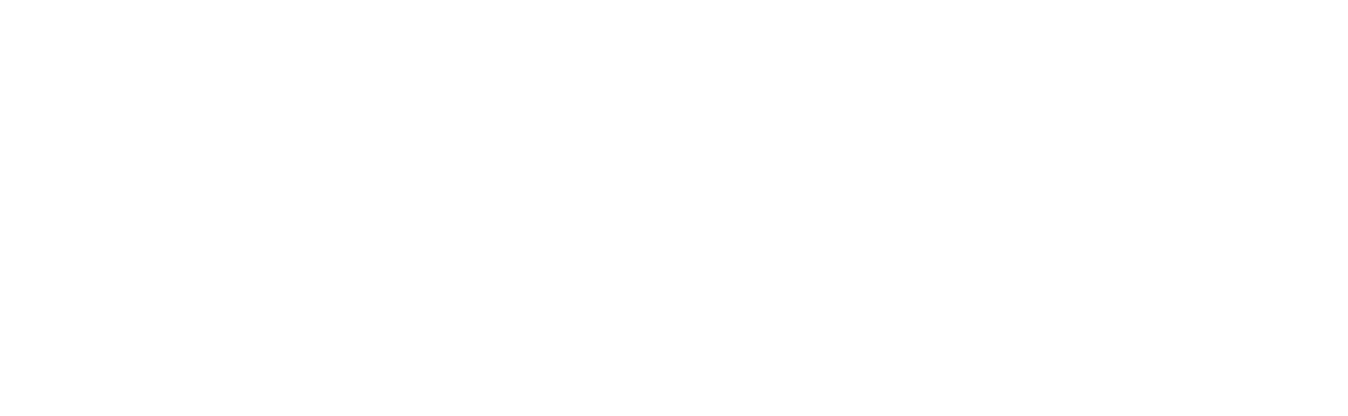 Aseela Garments